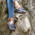 Ladies Scarlet Sheepskin Moc Grey by Cloud Nine Sheepskin