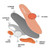 No. 27 Women's Casual Sneaker W/ Heel Assist by Anodyne