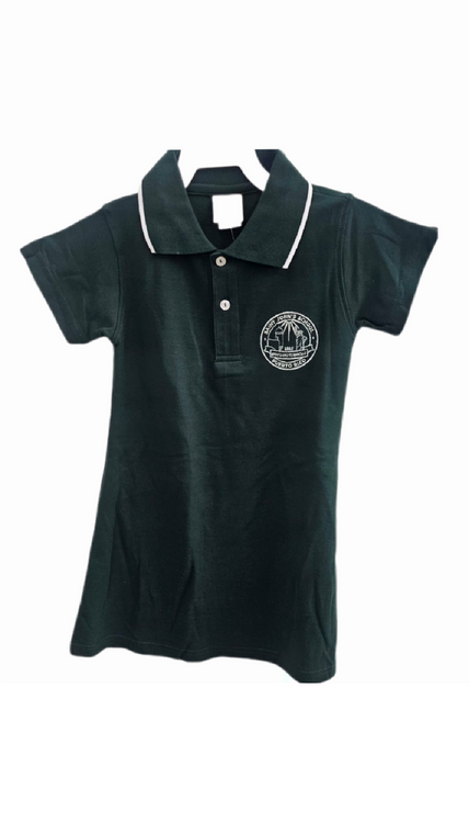 POLO DRESS HUNTER AT JOHNS BR-01STJ