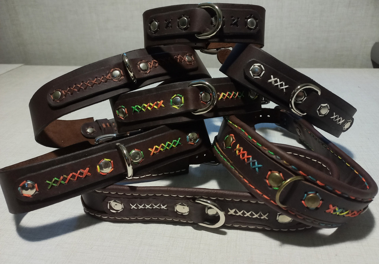 Pet Collars