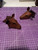 Tiny Horse Bag Charms