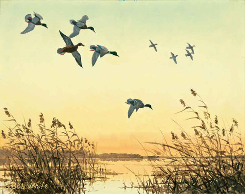 Hunting Theme 240-68d-4 Artwork Micro Fiber Cleaning Cloth