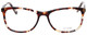 Calabria Splash SP62 Designer Reading Glasses in Brown