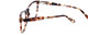 Calabria Splash SP62 Designer Reading Glasses in Brown