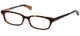 Paul Smith Designer Reading Glasses PS409-OABL in Tortoise Peach 49mm