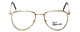 Fashion Optical Designer Reading Glasses Dover in Gold-Amber 52mm