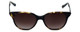 Vera Wang Designer Sunglasses Serova in Tortoise Frame & Brown Gradient Lens 53m