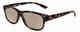 Calabria 4375T Reading Sunglasses 49 Colors&Powers Choose Tortoise,Havana,Black+