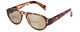 Calabria 4370SB Bi-Focal Reading Sunglasses 35 Colors & Powers Black/Red/Brown +