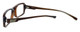 Bollé Dreux Designer Eyeglasses in Brown Stripe :: Custom Left & Right Lens