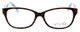 Calabria Splash SP61 Designer Eyeglasses in Demi-Blue :: Custom Left & Right Lens
