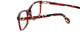 Calabria Splash SP63 Designer Eyeglasses in Tortoise-Red :: Custom Left & Right Lens