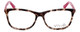 Calabria Viv 848 Designer Eyeglasses in Demi-Pink :: Custom Left & Right Lens