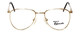 Regency Designer Eyeglasses Dover in Gold 52mm :: Custom Left & Right Lens