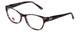 Silver Dollar Designer Eyeglasses Café 3201 in Brown Lilac 53mm :: Custom Left & Right Lens