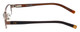 Converse Designer Eyeglasses Energy in Brown 44mm :: Rx Single Vision