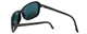 Porsche Designer Sunglasses P8558-A in Black with Green Lens