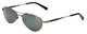 Reptile JAPAN Designer Polarized Sunglasses Santiago Antique-Silver/Flash Mirr