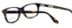 Ernest Hemingway Designer Reading Glasses H4617 Tortoise Havana 52 mm PICK POWER