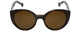 Jonathan Adler Designer Sunglasses Monte Carlo in Brown