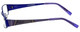 Converse Designer Eyeglasses Q003-Purple in Purple 50mm :: Rx Single Vision