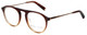 Kendall + Kylie Designer Reading Glasses Audrey KKO104-241 in Brown 50mm
