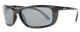 Reptile JAPAN Designer Polarized Sunglasses Whiptail in Black with Grey Lens