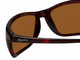 Close View of Reptile Designer Polarized Sunglasses Whiptail in Tortoise with Amber Lens (Whiptail-GLD)