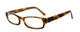 Calabria Splash 54 Designer Blue Light Blocking Reading Glasses in Tortoise 49mm