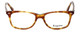 Front View of Esquire Designer Blue Light Blocking Reading Glasses EQ1508 Tortoise 51mm /Power