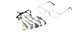Calabria Men Fish Safety Mask&Matching 754 Silver Designer Eyeglasses w/Retainer