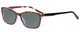 Profile View of Vera Bradley Larissa Designer Polarized Sunglasses with Custom Cut Smoke Grey Lenses in Rosewood Purple Tortoise Havana Ladies Classic Full Rim Acetate 54 mm