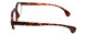Side View of Calabria Elite Progressive Blue Light Glasses R217 Professor Type 46 mm Tortoise