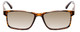 Calabria L2007 54mm Polarized Bi-Focal Sunglasses Tortoise Brown Gold 41 OPTIONS