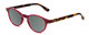 Profile View of Ann Taylor ATR030 Designer Polarized Sunglasses with Custom Cut Smoke Grey Lenses in Red Pink Tortoise Havana Brown Gold Ladies Round Full Rim Acetate 47 mm