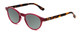 Profile View of Ann Taylor ATR030 Designer Polarized Reading Sunglasses with Custom Cut Powered Smoke Grey Lenses in Red Pink Tortoise Havana Brown Gold Ladies Round Full Rim Acetate 47 mm
