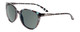 Profile View of Smith Optics Cheetah Designer Polarized Sunglasses with Custom Cut Smoke Grey Lenses in Sky Tortoise Havana Marble Brown Ladies Cateye Full Rim Acetate 54 mm