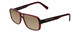 Profile View of Porsche Designs P8217-D Designer Polarized Sunglasses with Custom Cut Amber Brown Lenses in Crystal Dark Red Carbon Fiber Unisex Square Full Rim Acetate 56 mm
