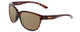 Profile View of Smith Optics Monterey Designer Polarized Reading Sunglasses with Custom Cut Powered Amber Brown Lenses in Tortoise Havana Brown Gold Ladies Cateye Full Rim Acetate 58 mm