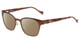 Profile View of Lucky Brand D106 Designer Polarized Sunglasses with Custom Cut Amber Brown Lenses in Brown Satin Tortoise Havana Brown Gold Ladies Classic Full Rim Metal 49 mm
