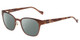 Profile View of Lucky Brand D106 Designer Polarized Sunglasses with Custom Cut Smoke Grey Lenses in Brown Satin Tortoise Havana Brown Gold Ladies Classic Full Rim Metal 49 mm