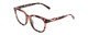 Profile View of Coyote Cheyenne Designer Reading Eye Glasses with Custom Cut Powered Lenses in Purple Tortoise Ladies Square Full Rim Acetate 52 mm