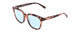 Profile View of Coyote Cheyenne Designer Progressive Lens Blue Light Blocking Eyeglasses in Purple Tortoise Ladies Square Full Rim Acetate 52 mm with Blue Light Zone functionality illustration laid over the lens