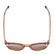 Top View of Coyote Crosstown Unisex Round Polarized Sunglasses in Tortoise Amber/Brown 47 mm