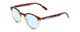 Profile View of Coyote Crosstown Designer Progressive Lens Blue Light Blocking Eyeglasses in Tortoise Amber Unisex Round Full Rim Acetate 47 mm