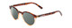 Profile View of Coyote Crosstown Designer Polarized Sunglasses with Custom Cut Smoke Grey Lenses in Tortoise Amber Unisex Round Full Rim Acetate 47 mm