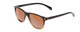 Profile View of Coyote Dakota Unisex Square Designer Polarized Sunglasses Dark Fade & Brown 51mm