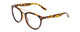 Profile View of Coyote Downtown Designer Blue Light Blocking Eyeglasses in Tortoise Brown Ladies Cateye Full Rim Acetate 54 mm