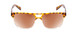Front View of Coyote Elixir Ladies Square Polarized Sunglasses Tortoise Clear Fade/Brown 52 mm