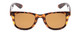 Front View of Coyote FP-35 Unisex Square Designer Polarized Sunglasses in Tortoise/Brown 50 mm